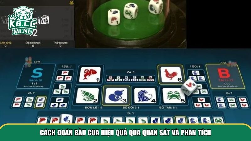 Cách đoán bầu cua hiệu quả qua quan sát và phân tích