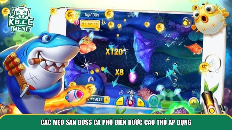 meo san boss ca 2 Những mẹo săn boss cá được nhiều game thủ giàu kinh nghiệm khuyên dùng