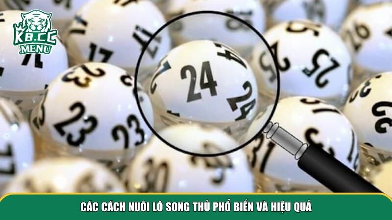 Để nuôi lô song thủ thành công, người chơi cần chọn phương pháp phù hợp